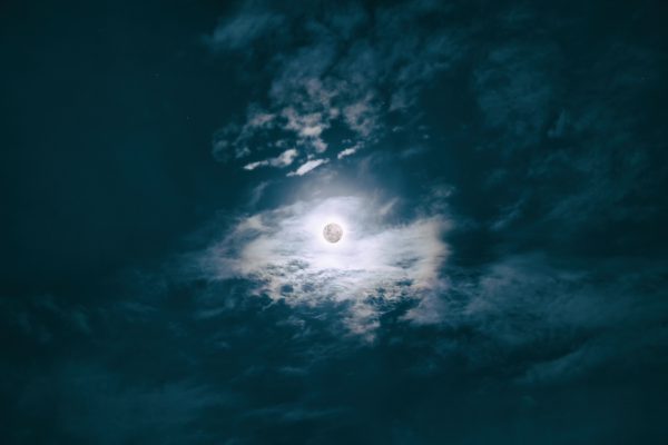 月に叢雲 花に風 37 Jewelry 月に叢雲 花に風 37 Jewelry