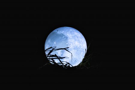 夜の魔力